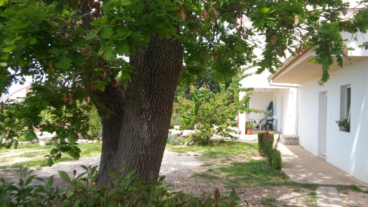 Apartman La Maison Zadar Luaran gambar